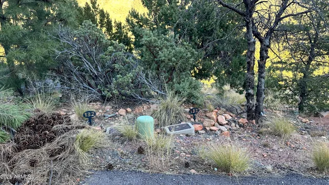 $90,000 | 132 Knob Hill, Unit 132, Pine, AZ 85544