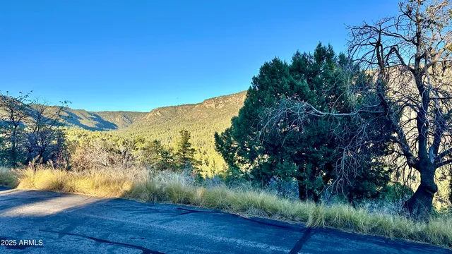 a view of a road with a yard