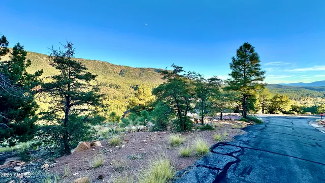 a view of a yard with a tree