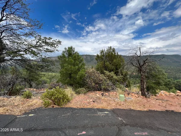 $90,000 | 132 Knob Hill, Unit 132, Pine, AZ 85544
