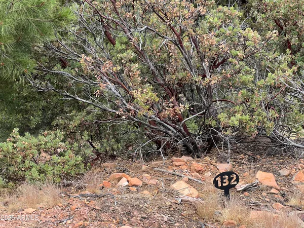 $90,000 | 132 Knob Hill, Unit 132, Pine, AZ 85544