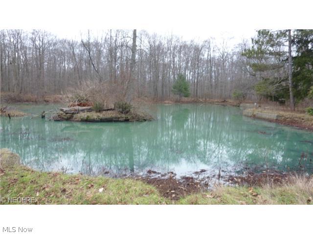 8024 Callow Road Painesville, OH 44077 - Photo 2 of 22 lake on property with the house
