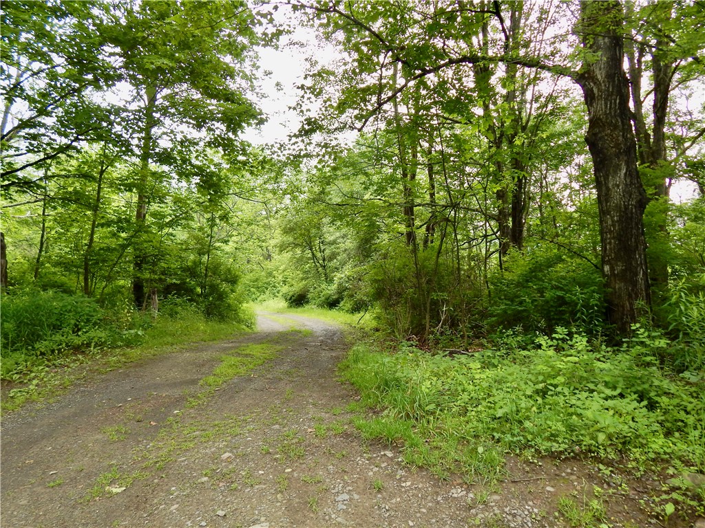 707 West Kill Road Jefferson, NY 12093 - Photo 24 of 26