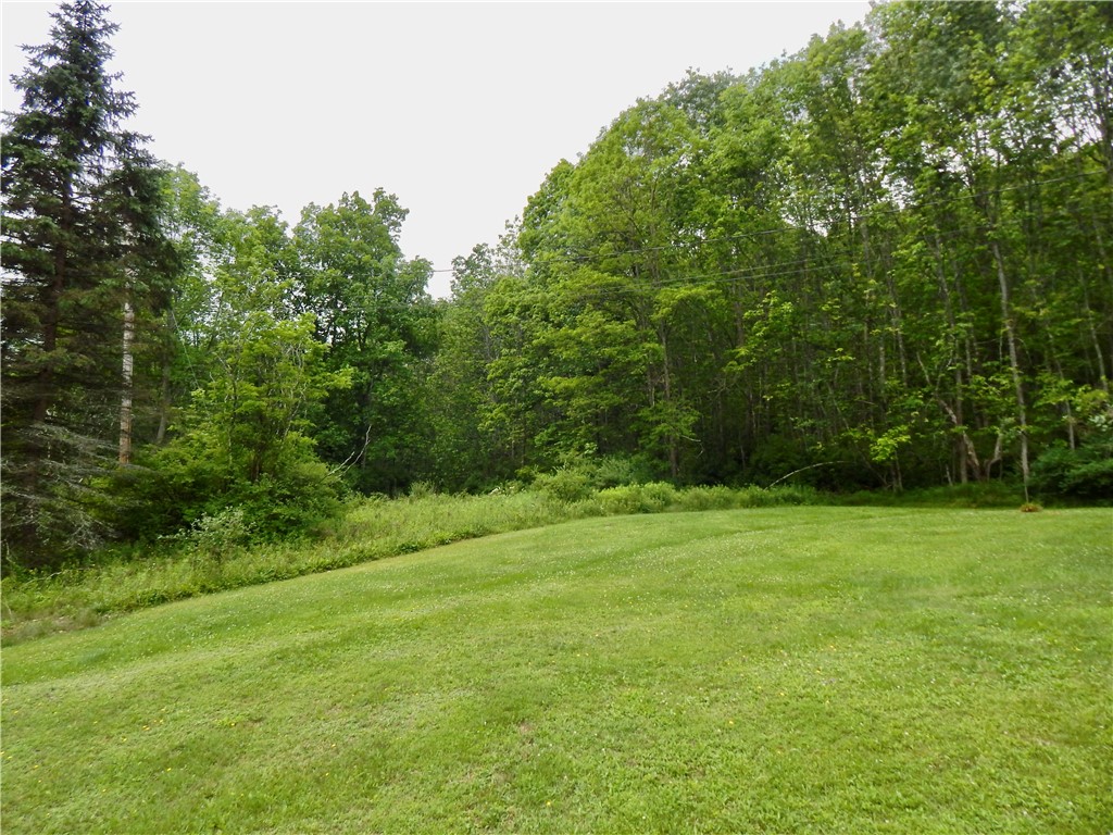 707 West Kill Road Jefferson, NY 12093 - Photo 3 of 26