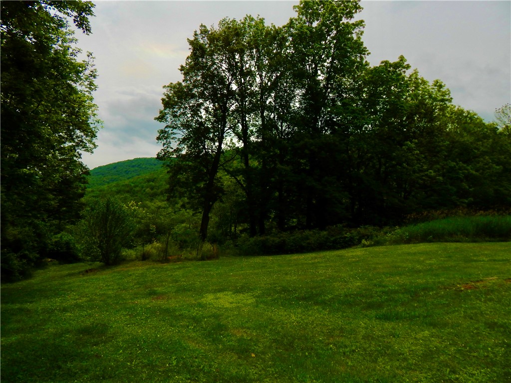 707 West Kill Road Jefferson, NY 12093 - Photo 4 of 26