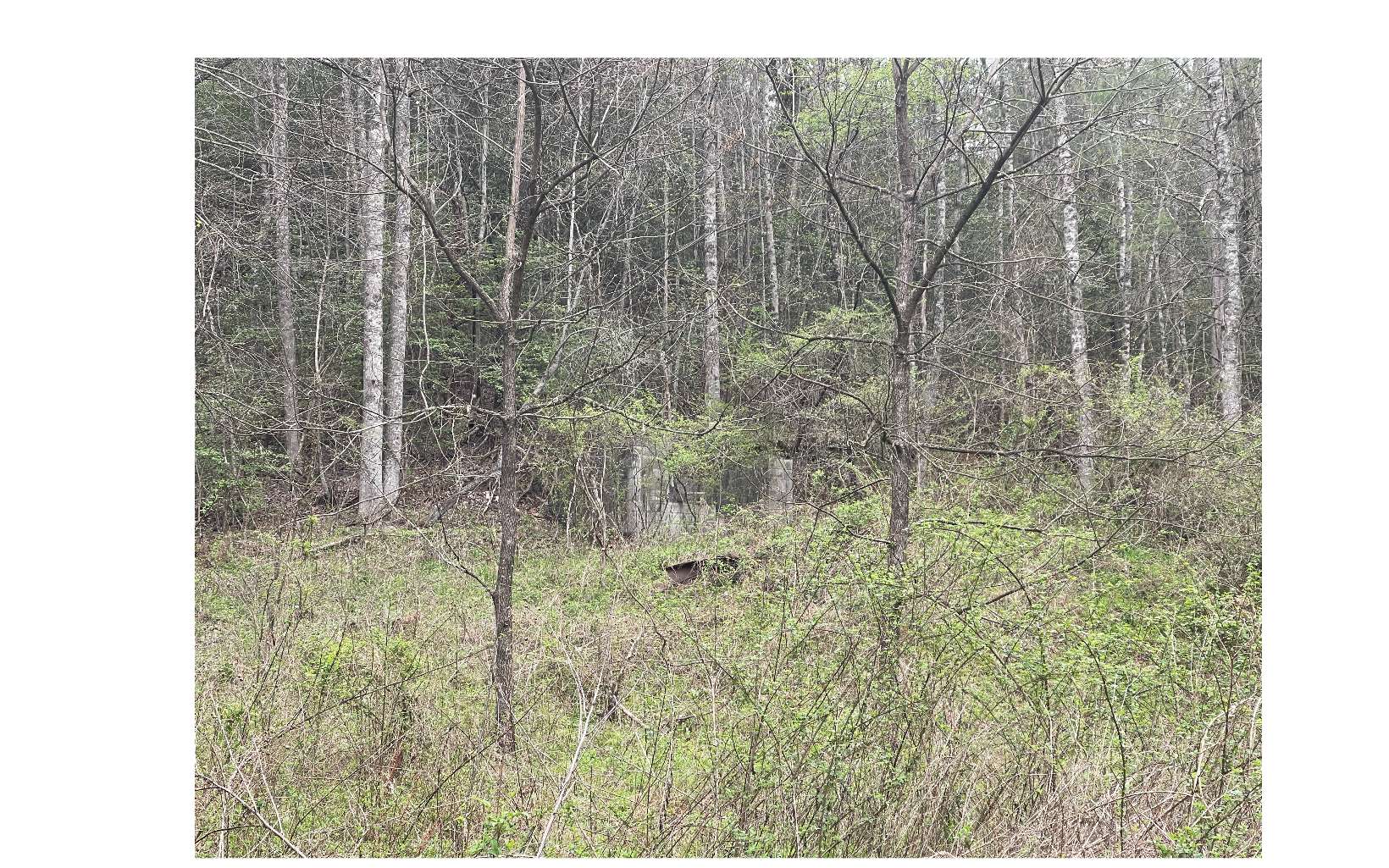 221 Greasy Creek Road Murphy, NC 28906 - Photo 12 of 13 Additional View