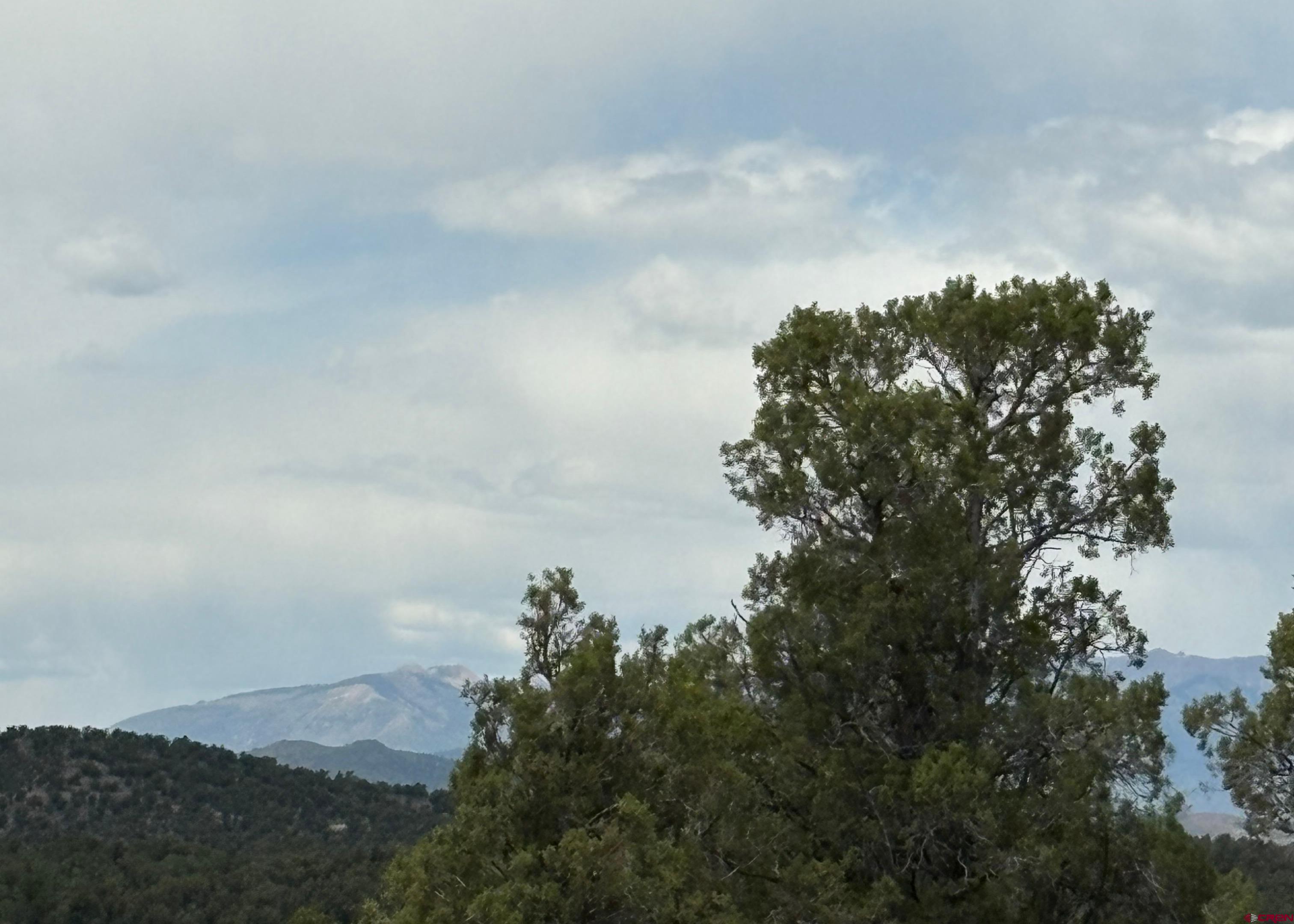 333 Cow Canyon Road Ignacio, CO 81137 - Photo 6 of 8