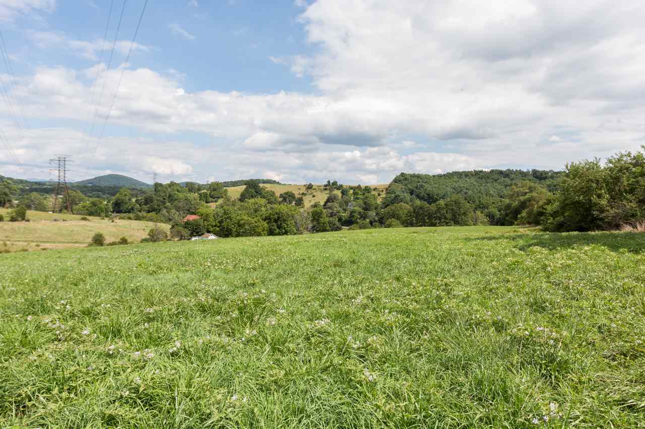 0 Middlebrook Road Staunton, VA 24401 - Photo 1 of 20 a view of a big yard with plants and large trees