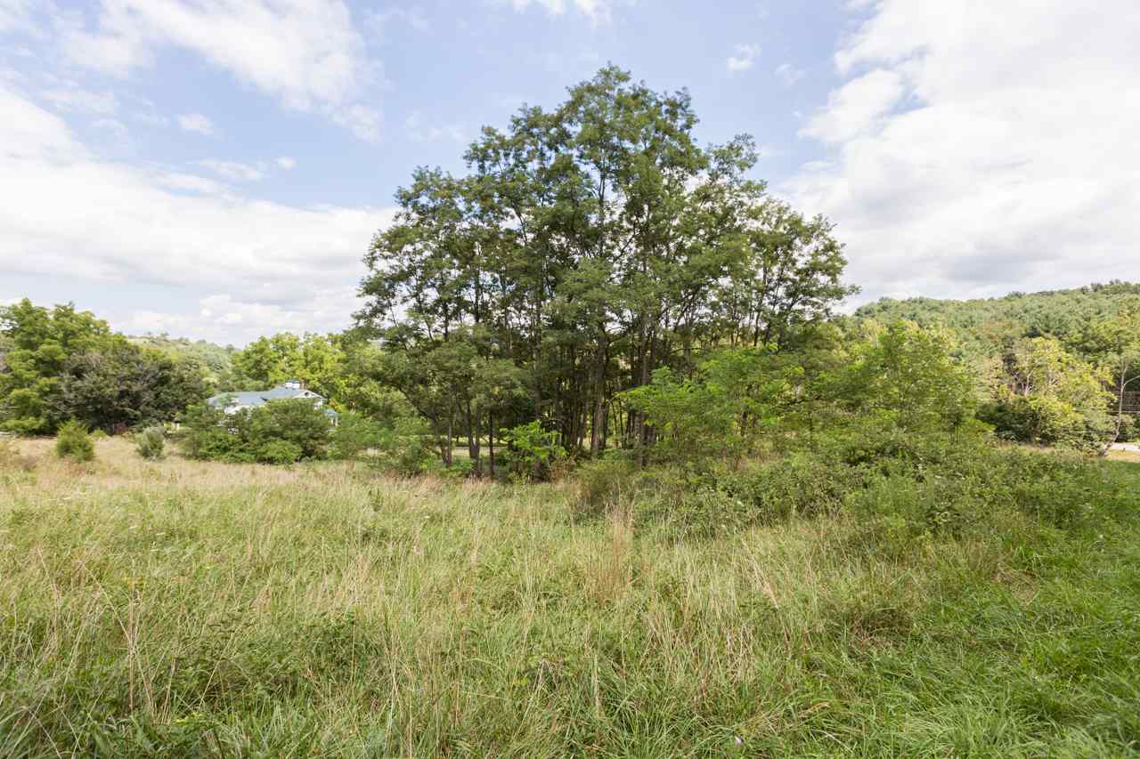 0 Middlebrook Road Staunton, VA 24401 - Photo 8 of 20 a view of a field of grass and trees