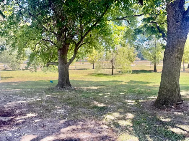 a view of a yard with a tree