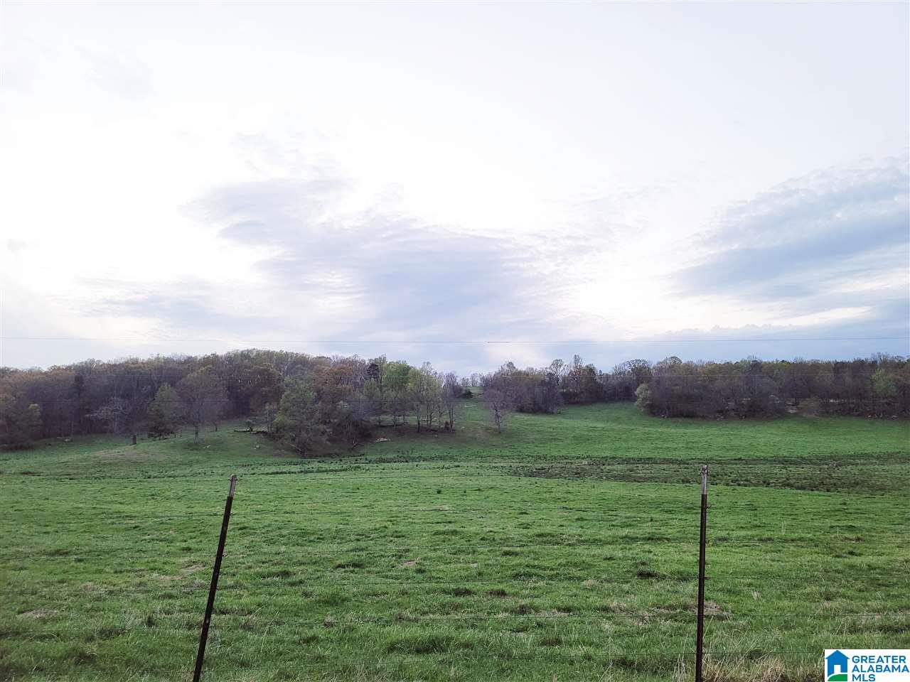 2182 Pitt Road, Unit 74 ACRES Blountsville, AL 35031 - Photo 3 of 3