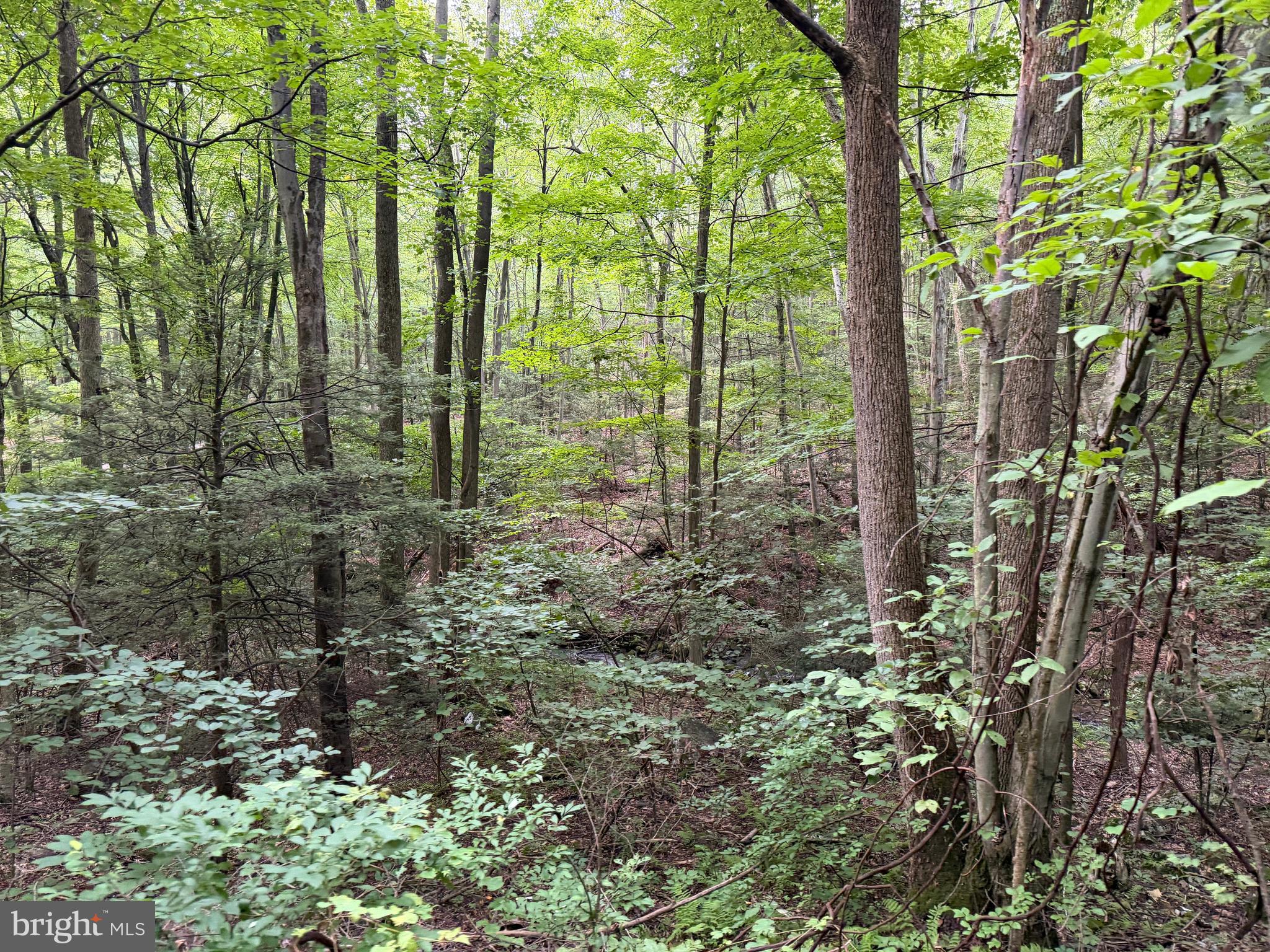 Three Laurel Mountain Road Three Springs, PA 17264 - Photo 23 of 74 Gallery Image 23