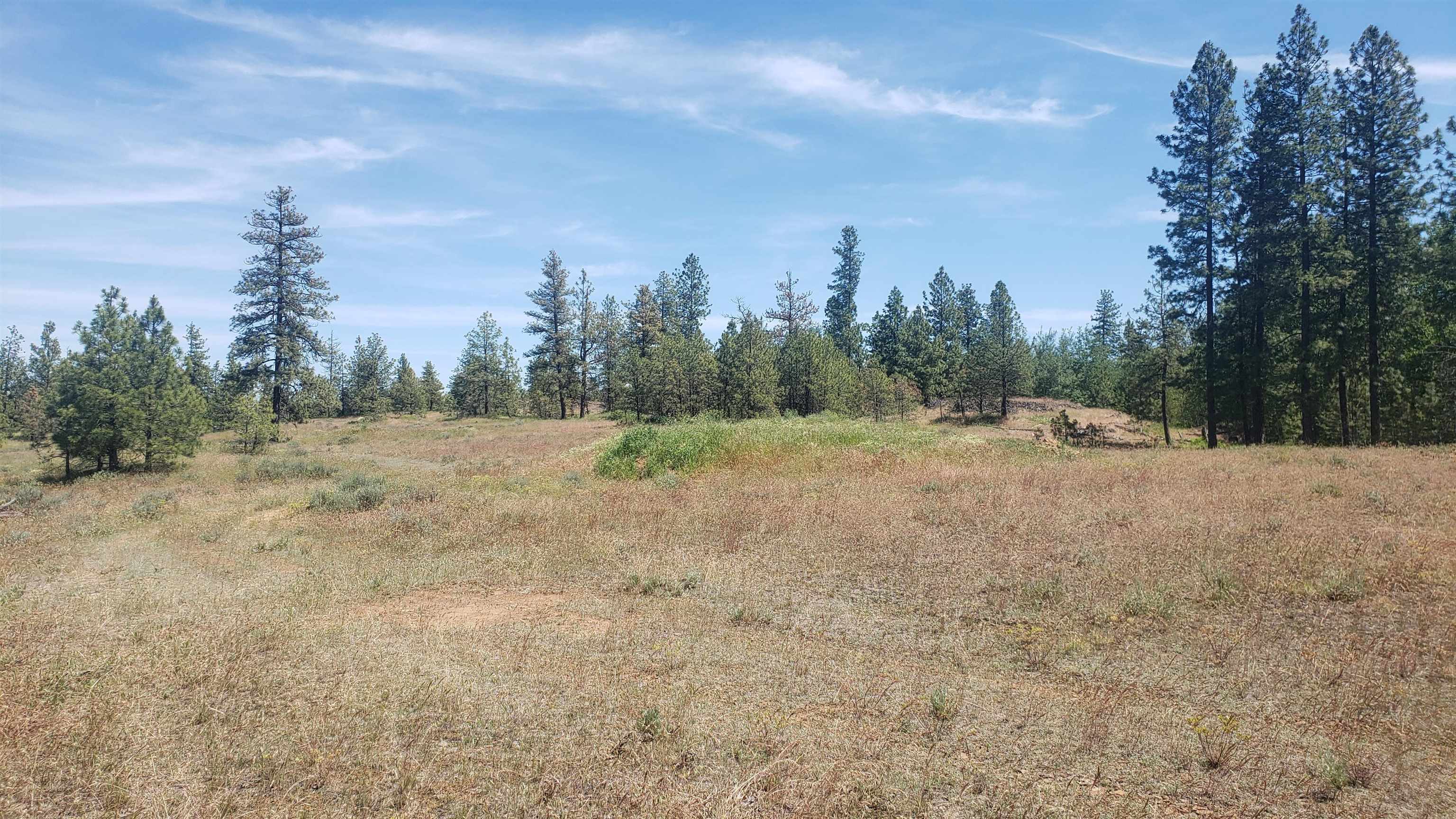 Unassigned West Kitt Road Reardan, WA 99029 - Photo 3 of 25