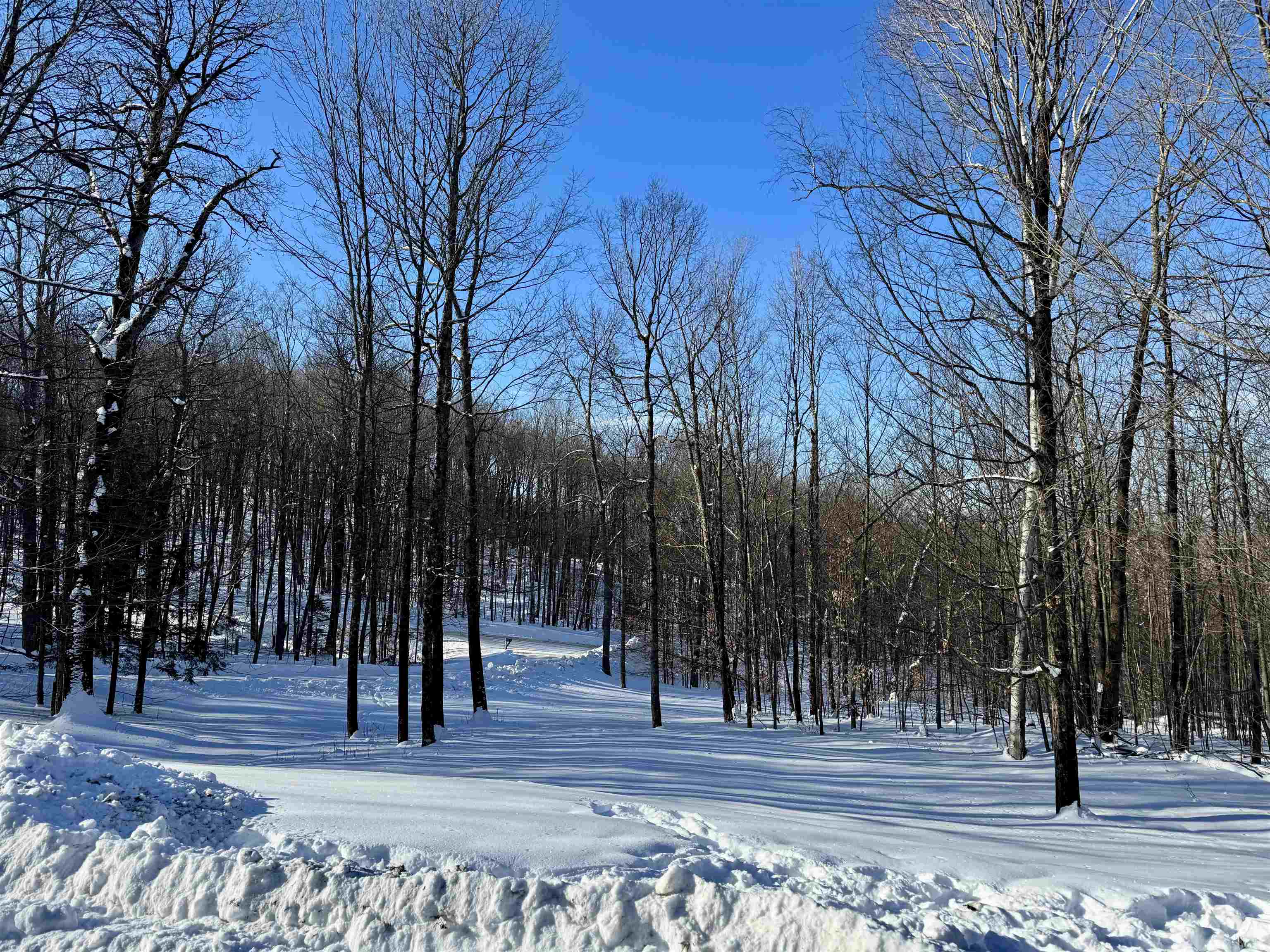 866 Ridge Hill Drive Derby, VT 05855 - Photo 34 of 37