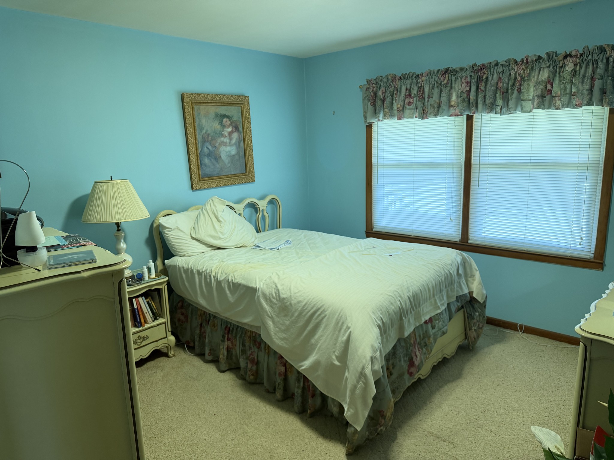 2276 South Mt Pleasant Road Greenbrier, TN 37073 - Photo 8 of 20 a bedroom with a bed and a window