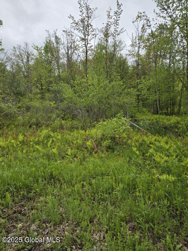 L4 Johnson Road Glenville, NY 12302 - Photo 2 of 8 wilcox johnson rd 1 photo