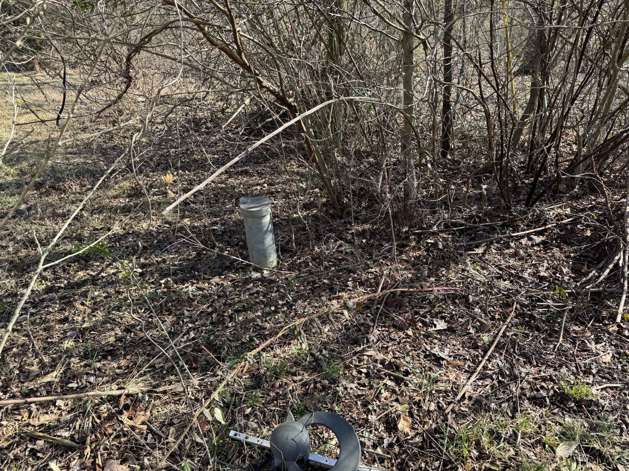 7050 Primm Springs Road Lyles, TN 37098 - Photo 11 of 17