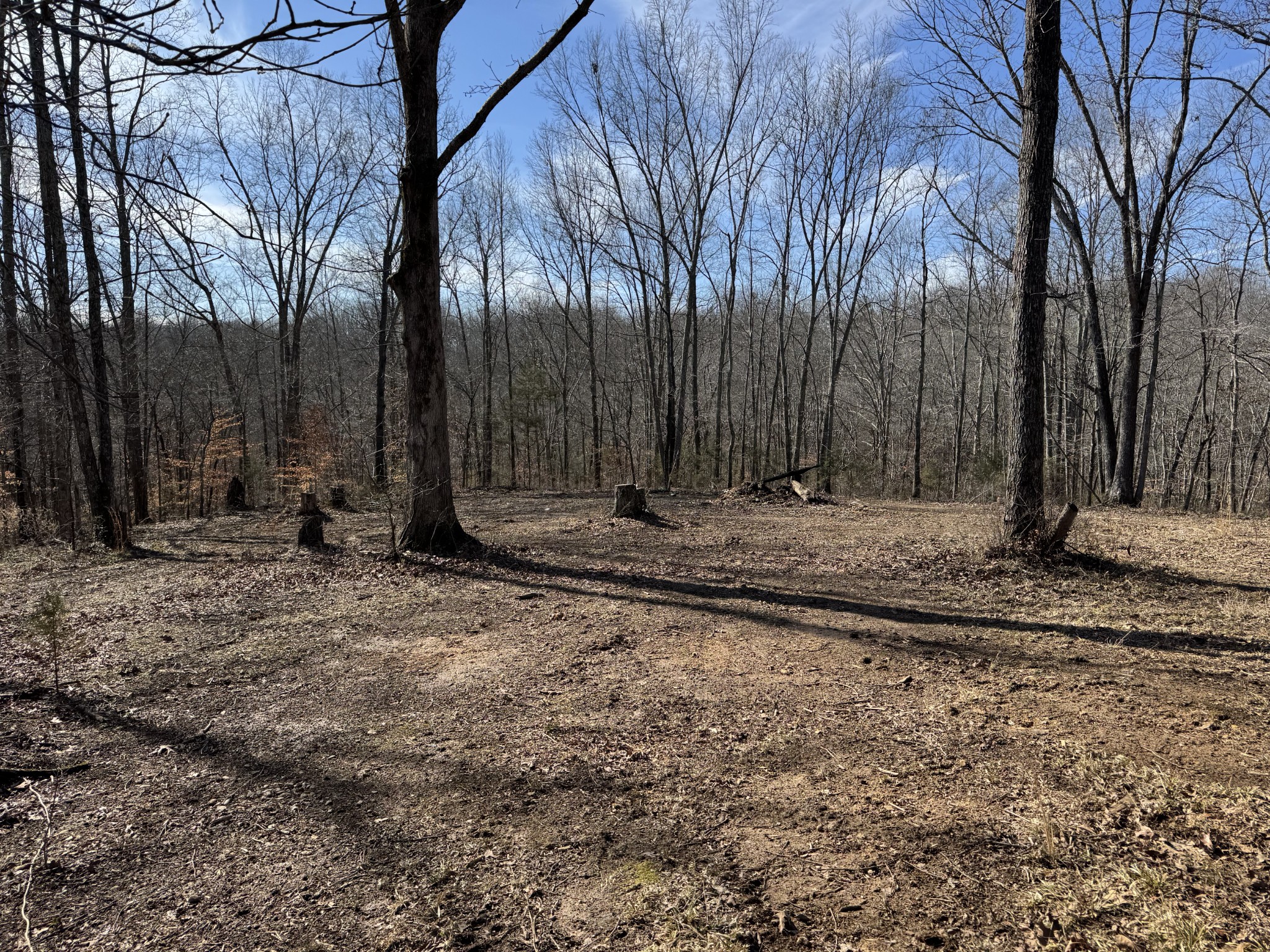 7050 Primm Springs Road Lyles, TN 37098 - Photo 16 of 17