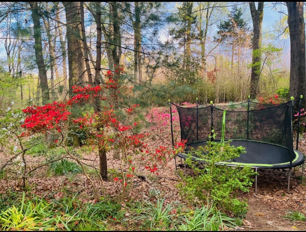 7273 Raleigh Lagrange Road Cordova, TN 38018 - Photo 19 of 30 View of yard with a trampoline