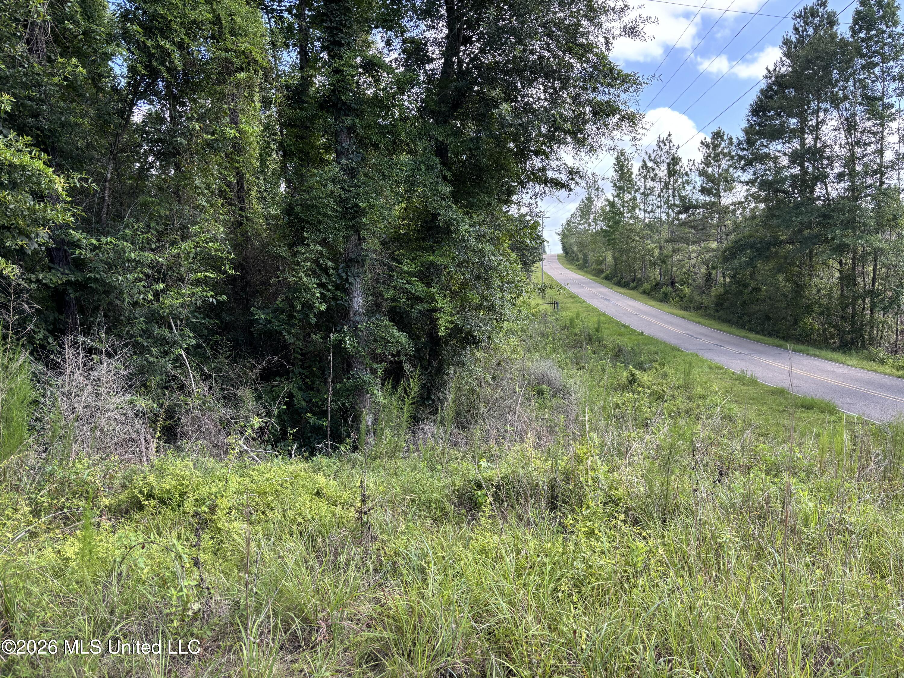 202 Smith Road Lumberton, MS 39455 - Photo 24 of 32 IMG_2963