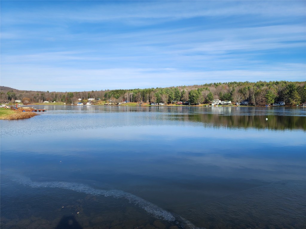 1 Deer Run Road Windsor, NY 13865 - Photo 35 of 36 Gallery Image 35
