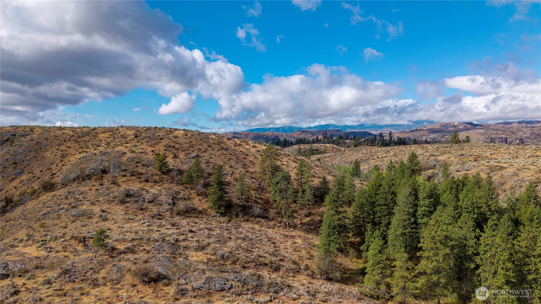 0 Tbd Pharr Out - 2 Way Riverside, WA 98849 - Photo 11 of 13 a view of a yard with mountains in the background