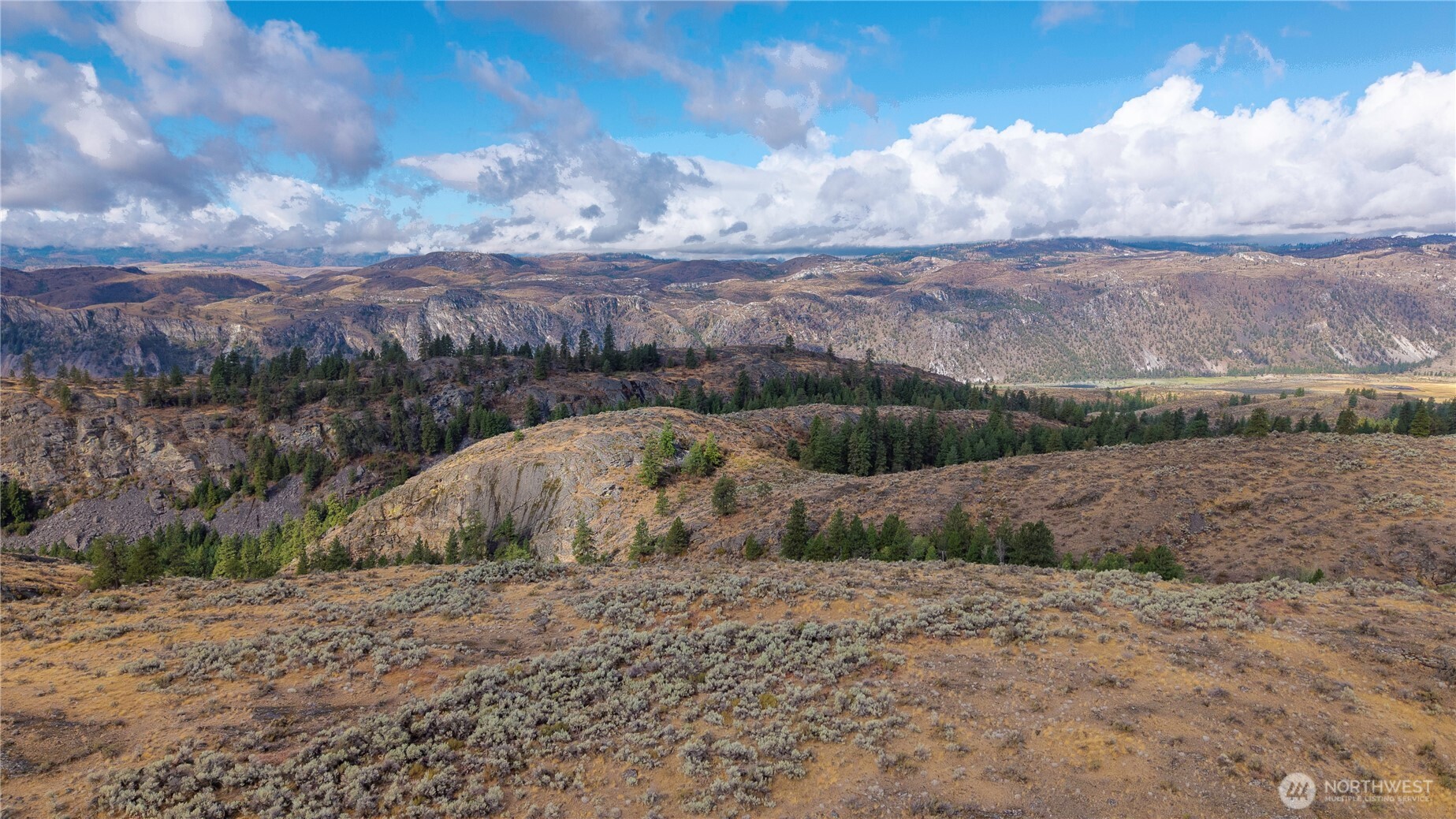 0 Tbd Pharr Out - 2 Way Riverside, WA 98849 - Photo 5 of 13 a view of outdoor space and yard