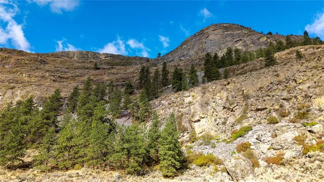 a view of a dry yard with wooden fence
