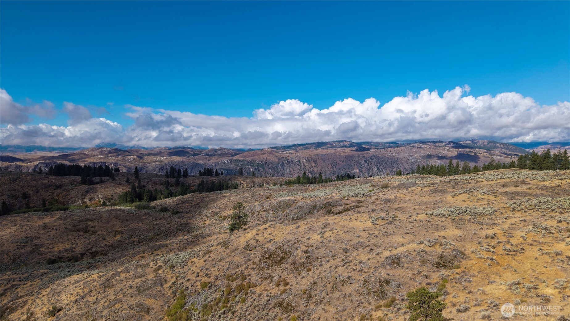 0 Tbd Pharr Out - 2 Way Riverside, WA 98849 - Photo 9 of 13 a view of a backyard of a house
