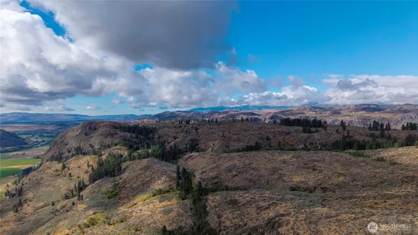 a view of a yard with mountains in the background