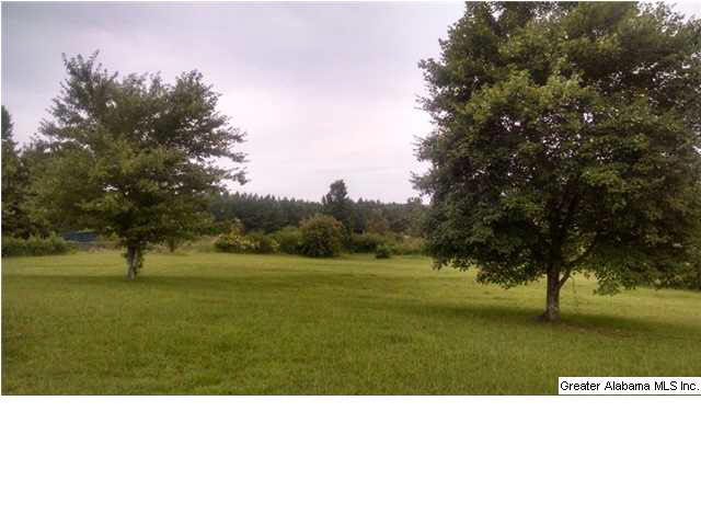 5080 Roy Webb Road Jacksonville, AL 36265 - Photo 22 of 31