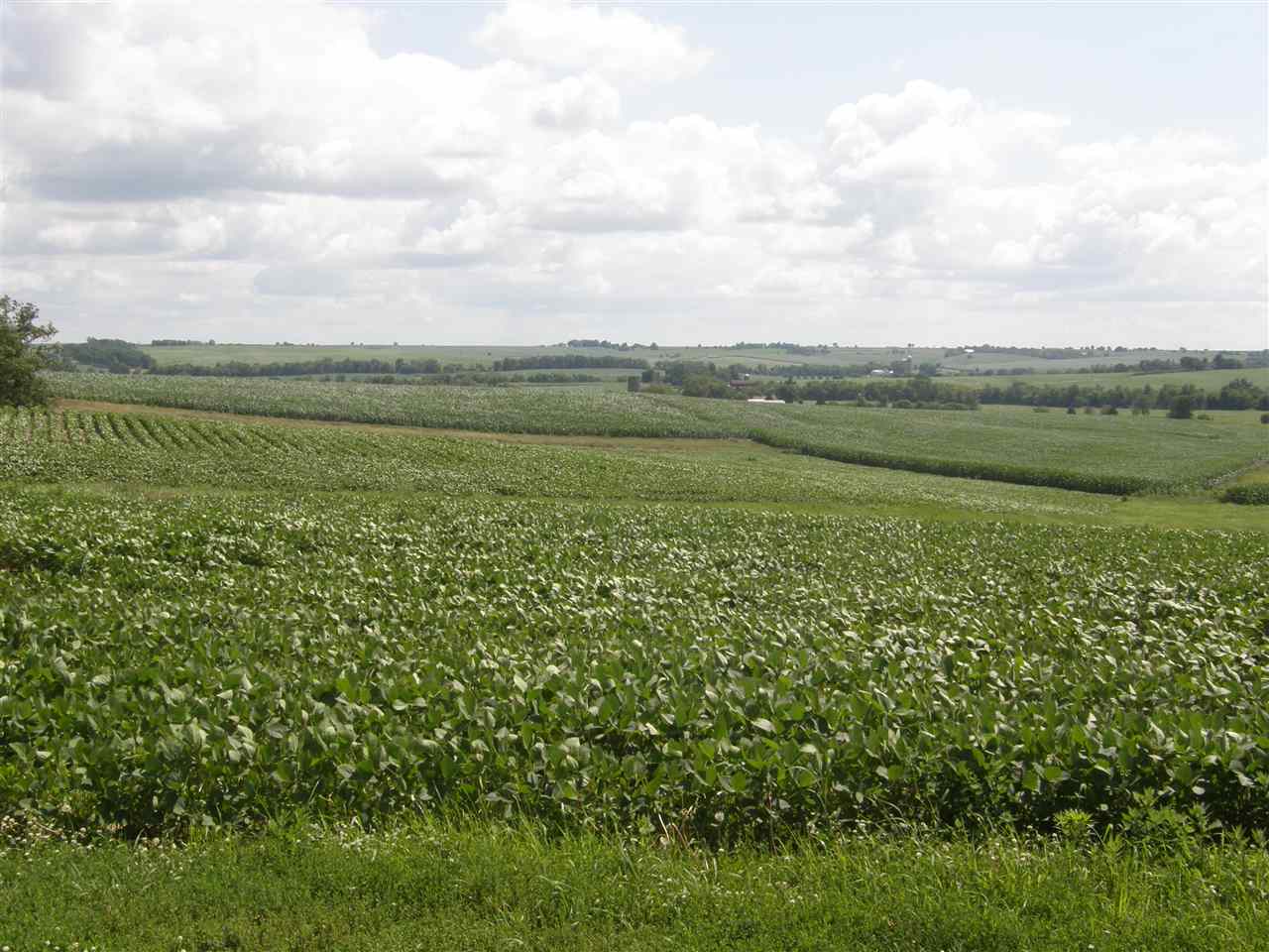 16700 Goodrich Road Durand, IL 61024 - Photo 6 of 18 a view of a green field with lots of bushes