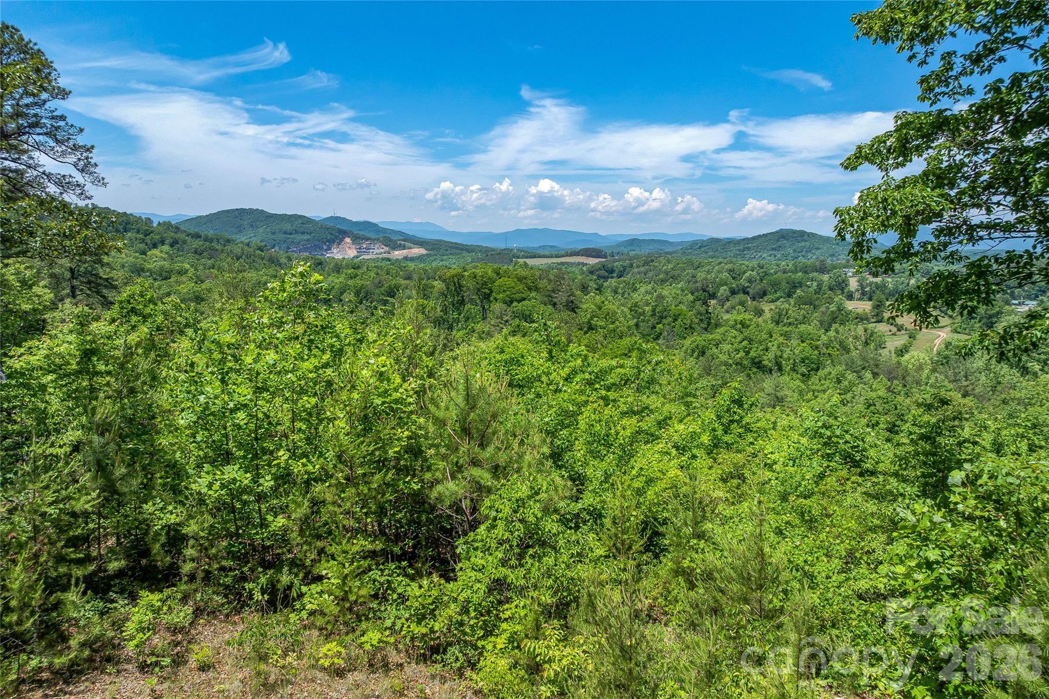 180 Fat Wall Road Marion, NC 28752 - Photo 11 of 32 a view of a bunch of trees