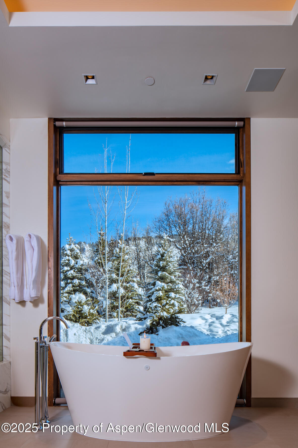 130 Primrose Path Aspen, CO 81611 - Photo 27 of 94 108A9488