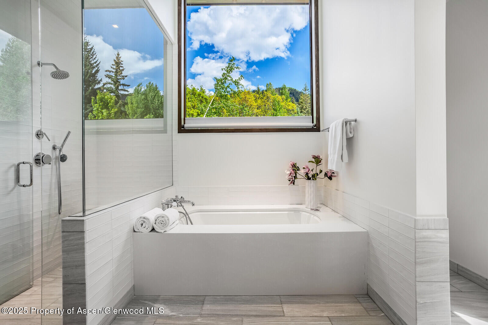 130 Primrose Path Aspen, CO 81611 - Photo 36 of 94 78_130_Primrose_Path078_mls