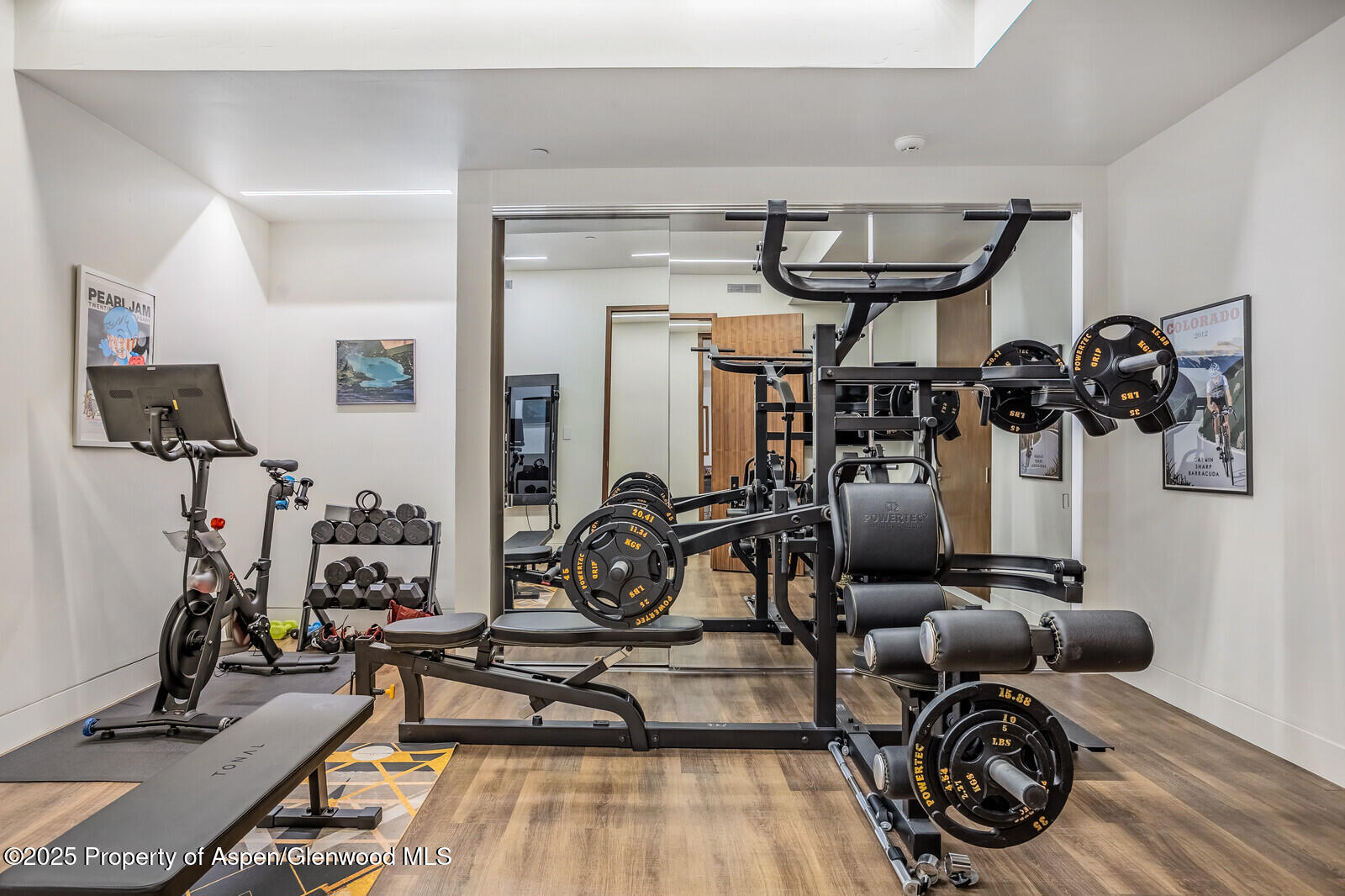 130 Primrose Path Aspen, CO 81611 - Photo 58 of 94 a view of a room with gym equipment