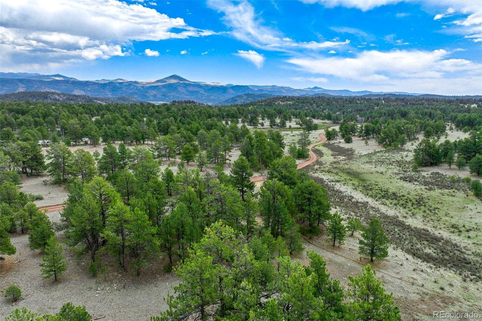 103 Doe Valley Road Guffey, CO 80820 - Photo 32 of 46