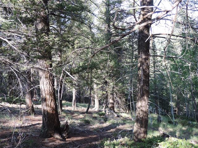 52 Ridge Circle Divide, CO 80814 - Photo 4 of 8