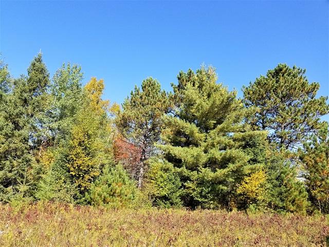 Lot 15 Weber Lake Road Mercer, WI 54547 - Photo 13 of 21 Gallery Image 13
