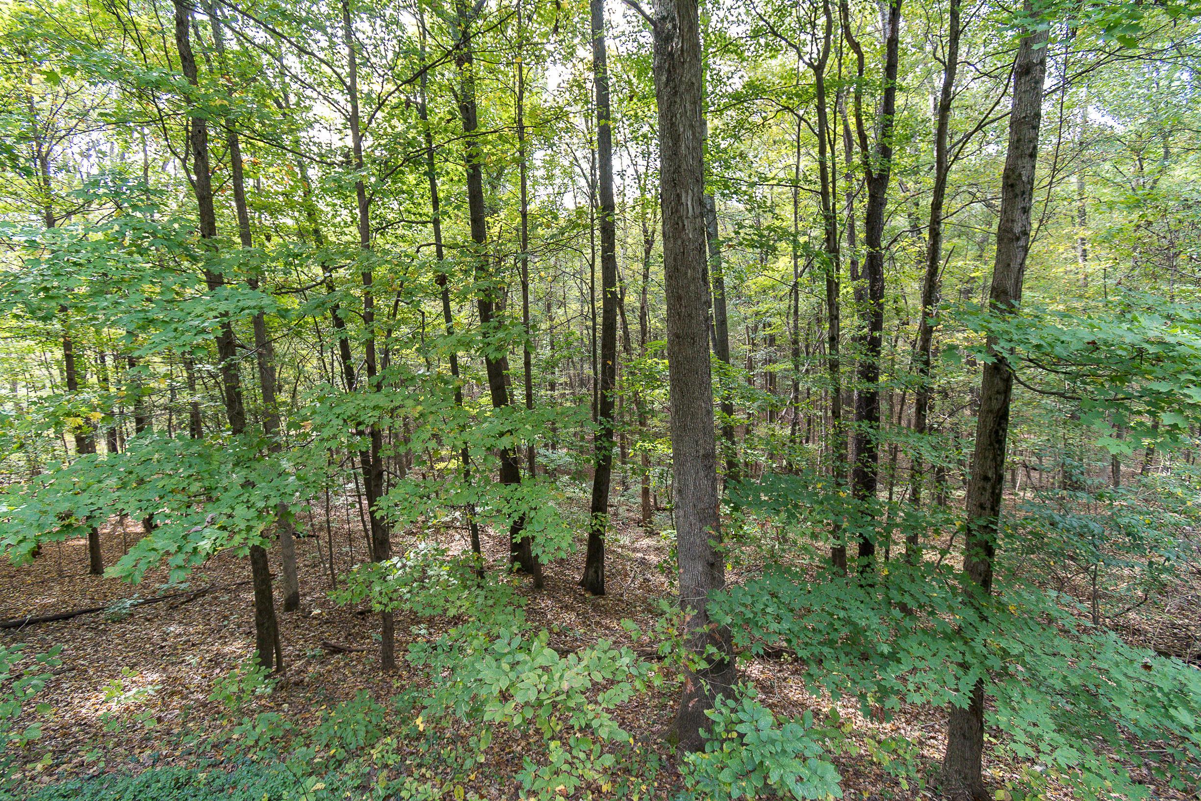 10659 Ridge View Court Westerville, OH 43082 - Photo 49 of 50
