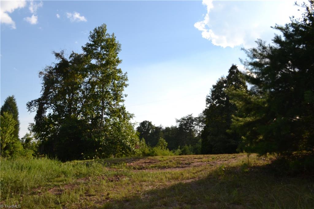 1095 Joe Joyce Road Madison, NC 27025 - Photo 22 of 25