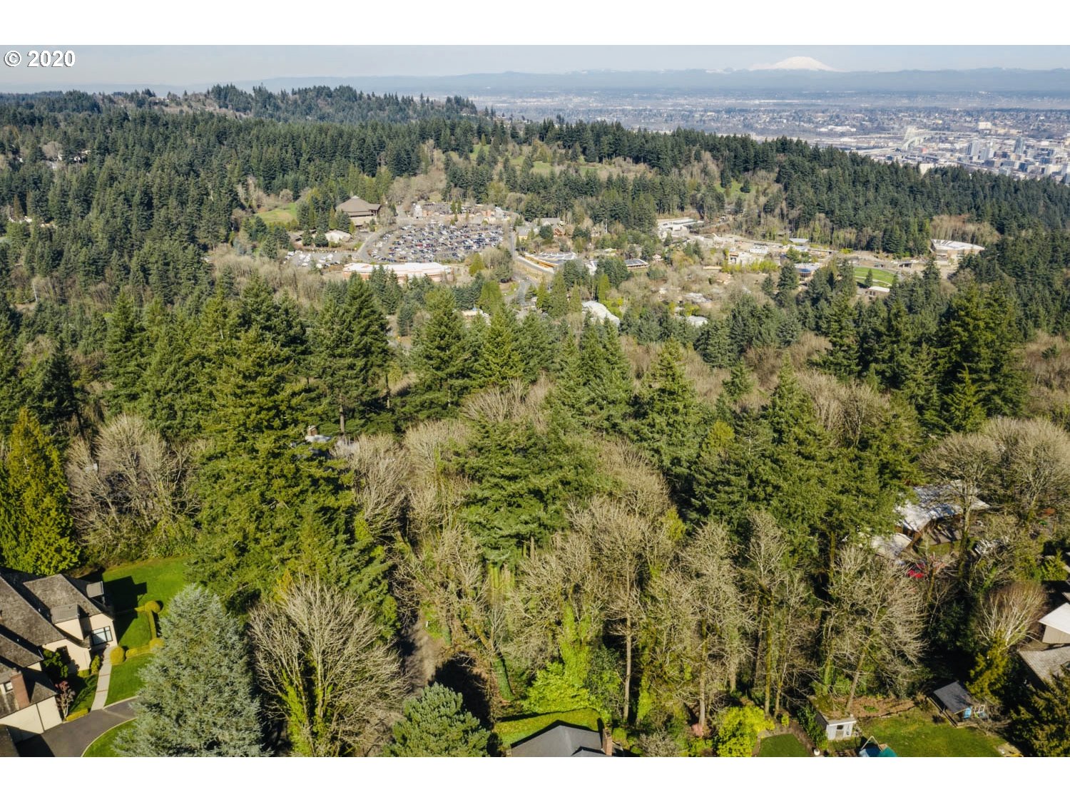 Southwest Greenleaf Drive Portland, OR 97221 - Photo 5 of 10