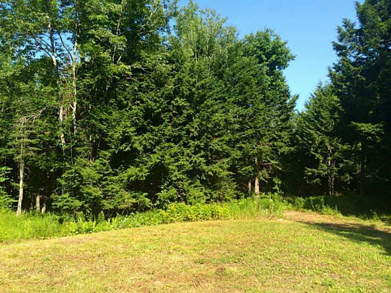119 Bacon Road Unity, ME 04988 - Photo 8 of 15 Land.