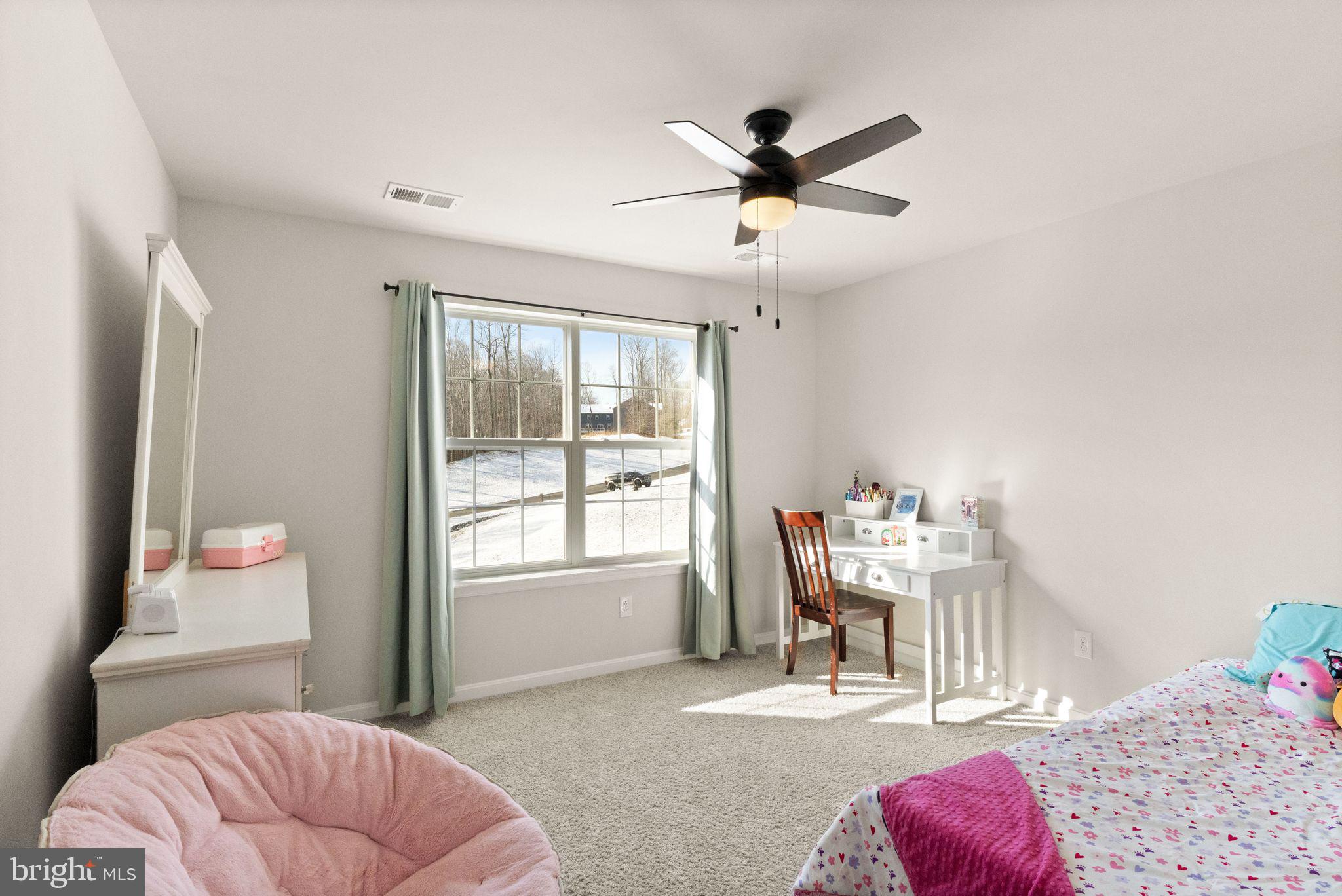 180 Pinewood Road Fredericksburg, VA 22405 - Photo 43 of 76 Bright rooms!