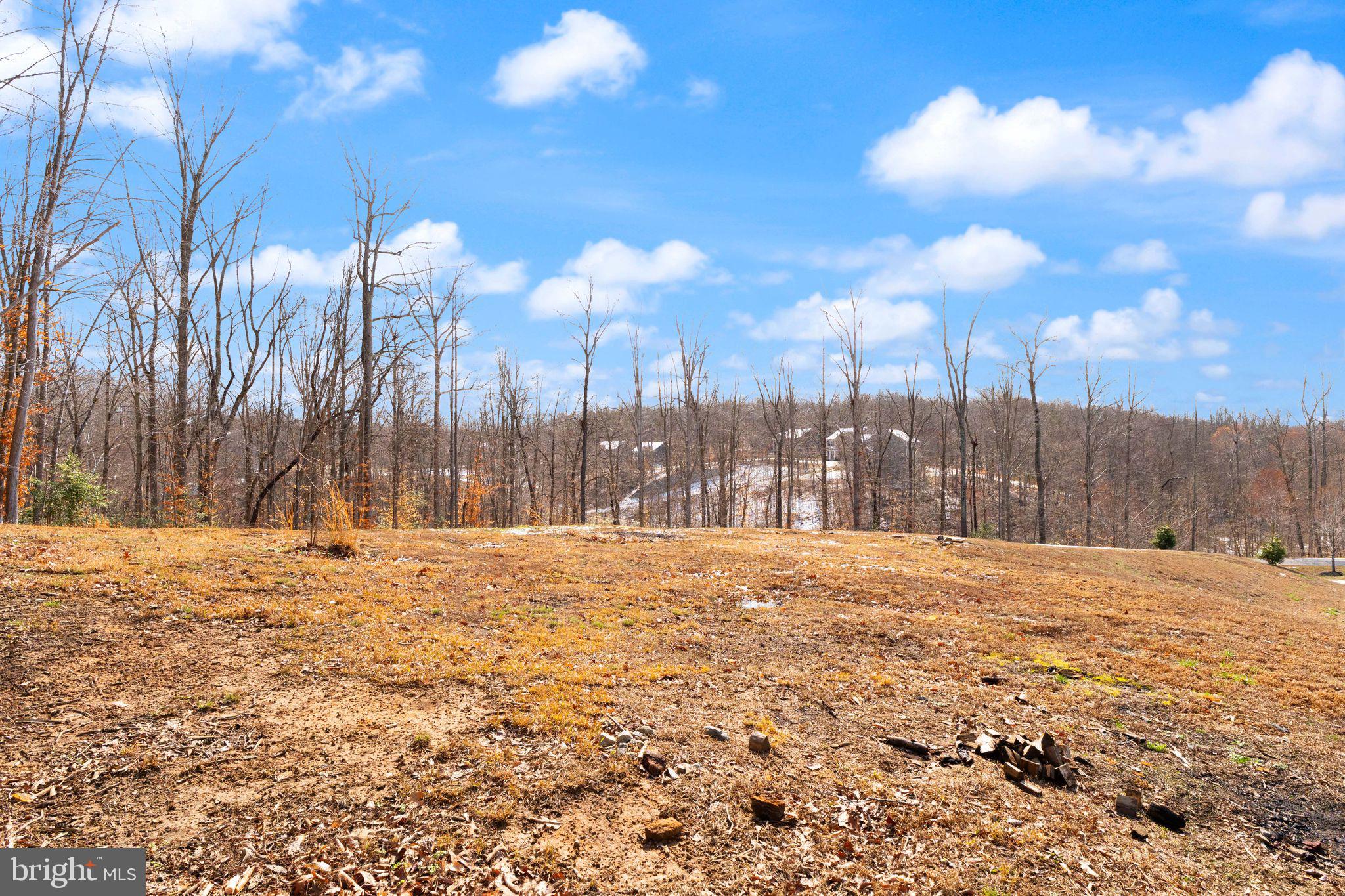 180 Pinewood Road Fredericksburg, VA 22405 - Photo 62 of 76 Open backyard!