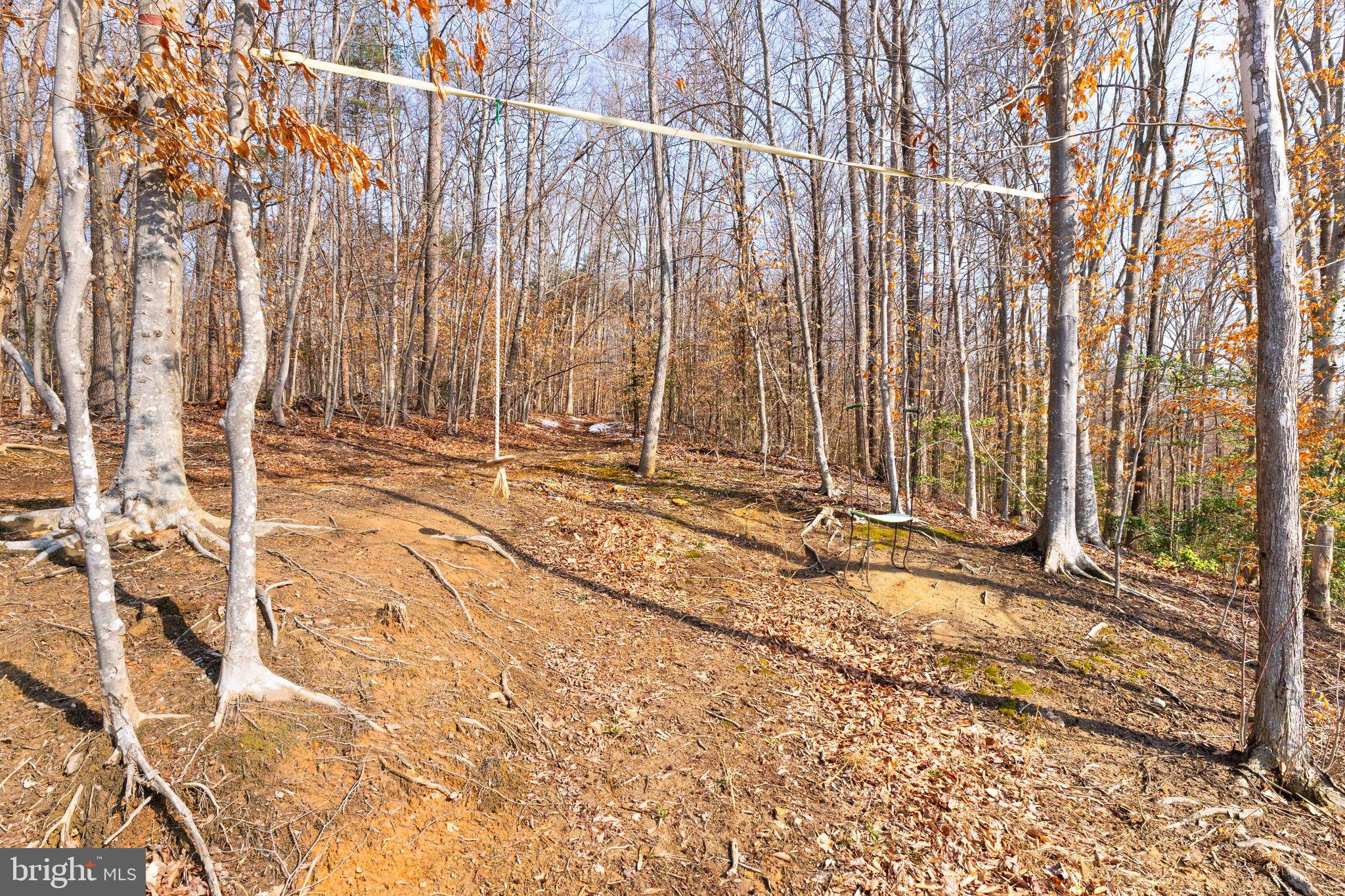 180 Pinewood Road Fredericksburg, VA 22405 - Photo 63 of 76 So much potential w/ the yard!