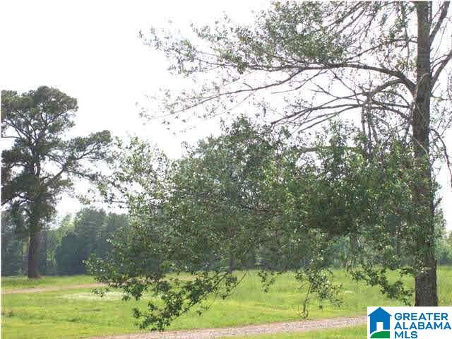 0 Dry Valley Road, Unit 7940 Lincoln, AL 35096 - Photo 1 of 1