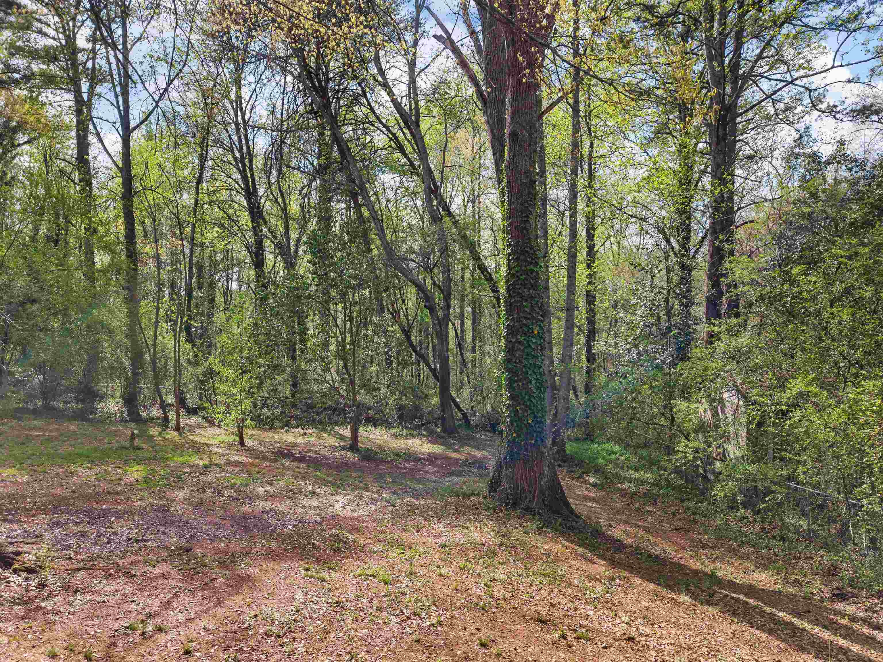 313 Tubbs Mountain Road Travelers Rest, SC 29690 - Photo 36 of 43