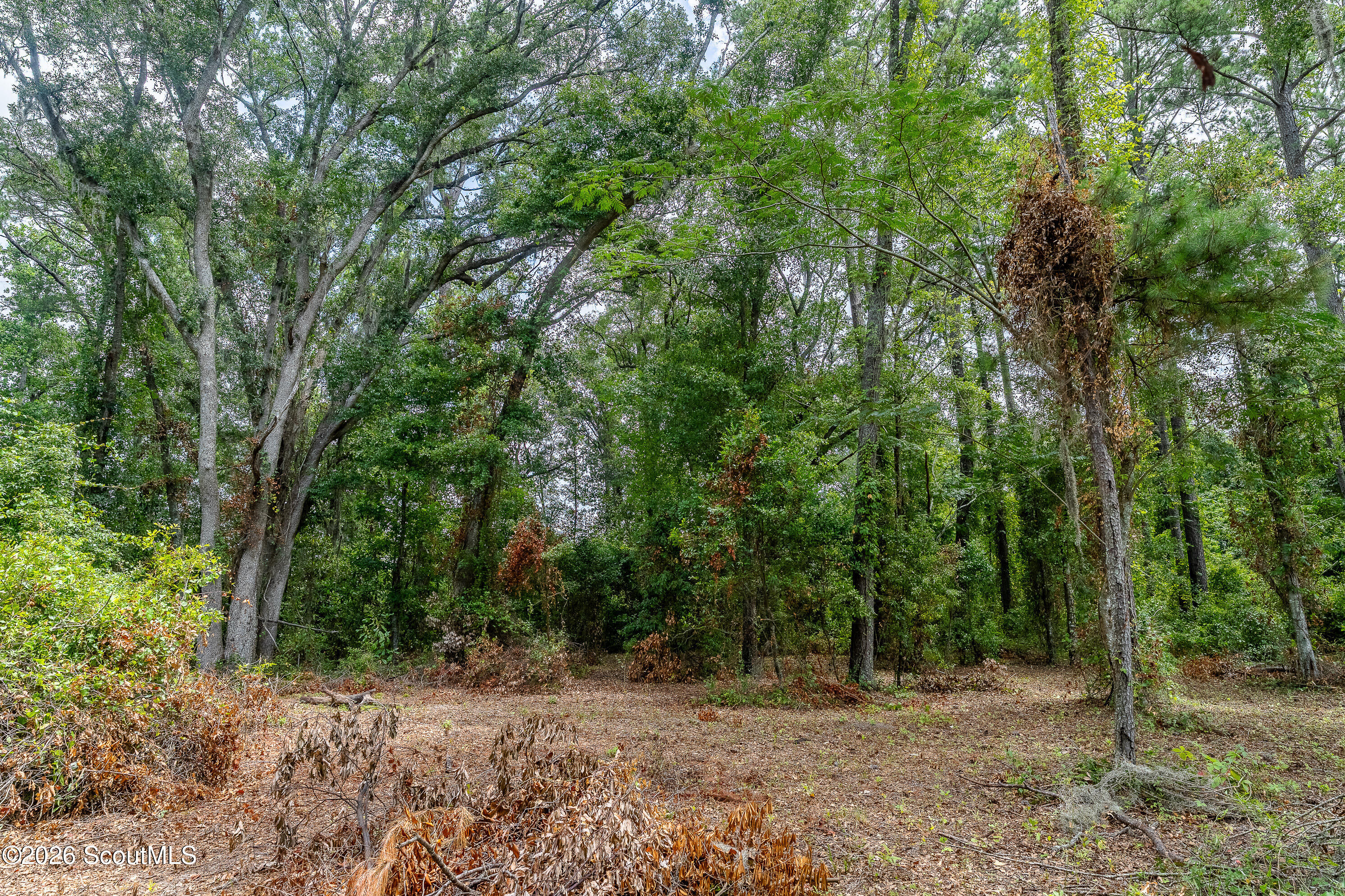 0 Nesbitt Road Jesup, GA 31545 - Photo 24 of 35 NESBIT-RD-ODUM-GA-25