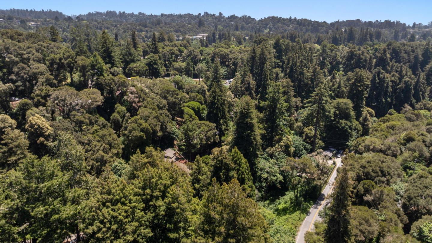 140 Baker Road Aptos, CA 95003 - Photo 56 of 62 a view of a forest with a lush green forest